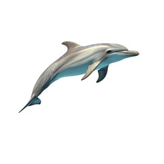 Obraz premium A graceful dolphin swimming in the ocean, showcasing its elegant movement and streamlined body in a natural aquatic environment.