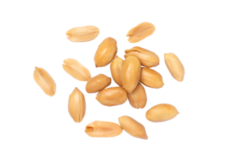 pile of peanuts isolated on white