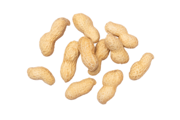 peanuts on white background
