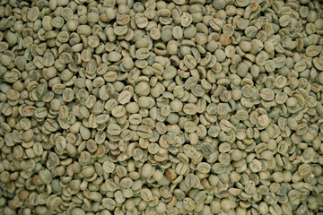 Raw Green Coffee Beans prepared for Roasting, top view