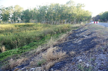 A Serene Landscape Featuring Riverbank and Lush Green Vegetation