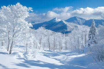 Obraz premium Snow covered trees and mountains creating stunning winter wonderland