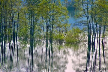 Obraz premium 秋元湖・裏磐梯（福島県・北塩原村）