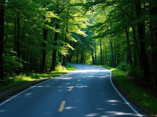 A winding forest road with trees on either side sunlight filtering through leaves, serene atmosphere, autumn foliage