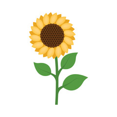 Sunflower icon in flat style. Flora vector illustration on isolated background. Sunflower sign business concept.