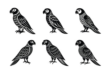 Parrot silhouette black set isolated on transparent background