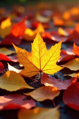 Single bright yellow leaf amidst fallen orange and red leaves, leaves, tree