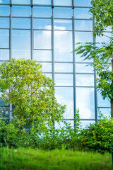 Green plants outside the office building