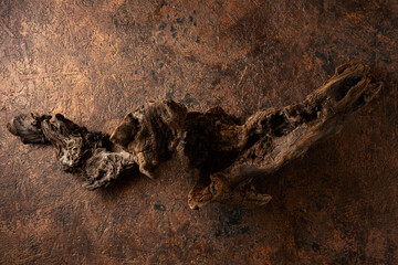 Dried wooden snags on the brown vintage background.