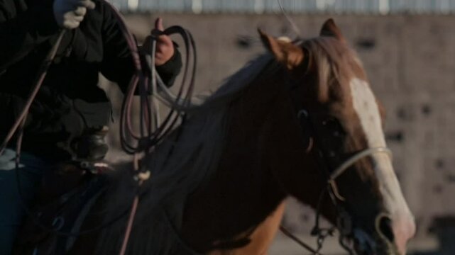 Persona momtando a caballo con cuerda en la mano