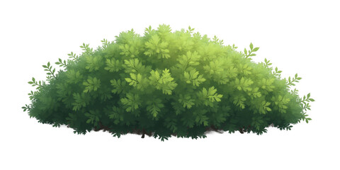 Green bush with transparent background