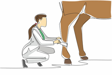 Single continuous line drawing a leg of horse is being bandaged by crouching female veterinarian. Done carefully. Fear of going berserk. National Help A Horse Day. One line design vector illustration