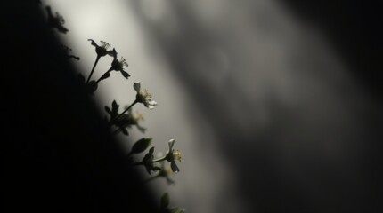 Black silhouette of a tree branch with bats against a spooky Halloween night sky, a vector illustration perfect for autumn card design