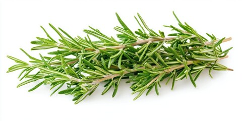 Fototapeta premium Fresh green rosemary sprigs arranged diagonally on a bright white background, highlighting the vibrant color and texture of the leaves.