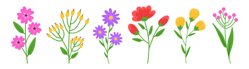 Set of colorful flowers spring hand draw card decoration flat illustration