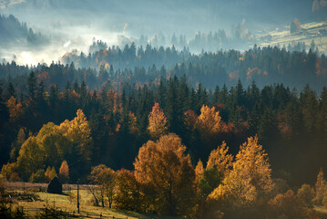 Autumn foliage in vibrant hues of gold, red, and orange blankets the forested hills, with mist...