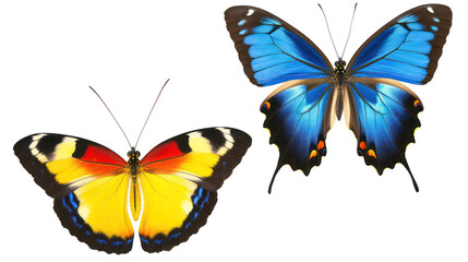Naklejka premium Colorful Butterflies Gracefully Flying in Gentle Motion Generative AI