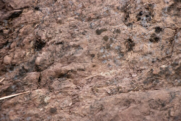 abstract brown rock soil texter background, backdrop wallpaper