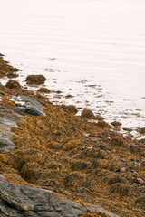 Serene coastal landscape with calm sea and rocky shore