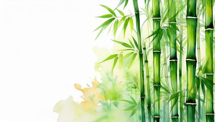 竹、竹林のイラスト