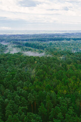 Fototapeta premium Sun rising over foggy forested countryside