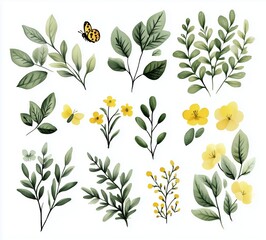 Collection of hand-painted botanical illustrations featuring various leaves and flowers
