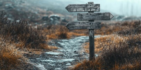Weathered wooden guideposts with three arrows pointing in different directions, set on a misty path surrounded by dry grasses and stones.