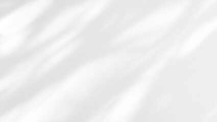 Shadow of leaves tree plant overlay on white wall. Sunlight effect shadow on the wall. Minimal blurred backdrop backgrounds. Summer tropical surface background.	