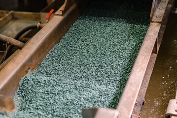 Conveyor belt transports plastic bags garbage recycle into polymer granules for reuse. Industry recycling plant