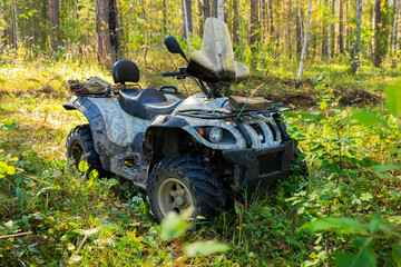 Quad bike or ATV surrounded by lush greenery in a serene forest during midday.