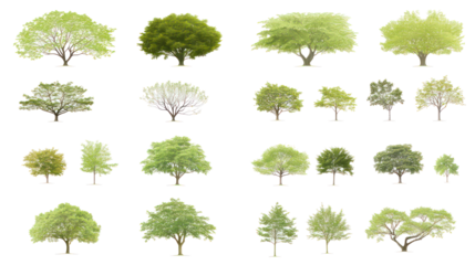 Variety of Trees on Transparent Background Generative AI