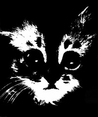 Distressed black and white portrait of cat. Overlay textured. Curious funny small kitten. Etching engraved, hatching effect. Lovely pets. Portrait, Domestic cat.