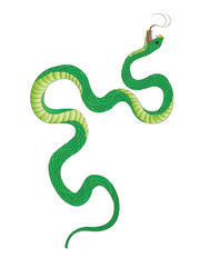 Obraz premium Colorful flat snake illustration