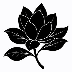 black and white magnolia flower silhouette