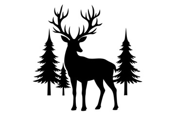 deer in a forest