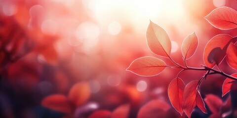 Bright orange cherry leaves in focus against a soft pink and red blurred background, capturing the essence of autumn foliage in nature.