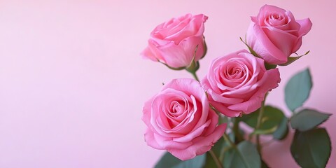 Fototapeta premium Pink roses with lush green leaves against a soft pastel pink background viewed from above perfect for Mother's Day or birthday greeting cards
