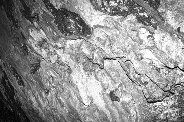 Stone Photo Material Texture