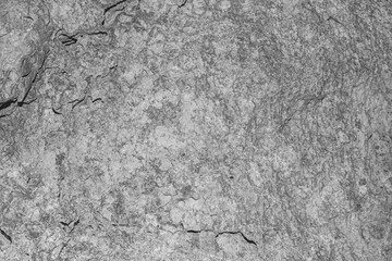 Stone Photo Material Texture