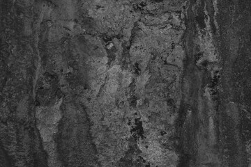 Stone Photo Material Texture