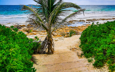 Playa Mangle beautiful tropical paradise beach panorama view Tulum Mexico.