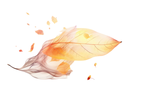 goldfish jumping out of the water