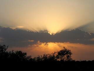 A perfect sunset over the forest. Sun rays in the dark forest. The view of the dark forest in the evening.