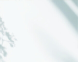 Soft Natural Overlay Shadow with Botanical Silhouette for Backgrounds, Branding, and Social Media Templates. Vector illustration