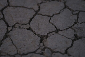A detailed closeup of dry, cracked soil, capturing arid conditions and significant environmental...