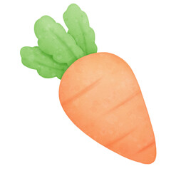 Carrot 