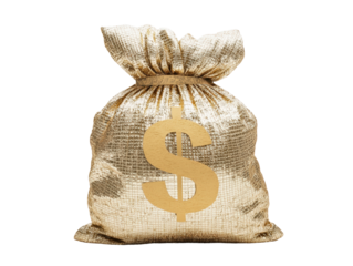 Isolated Mesh Golden Money Bag with Dollar Sign