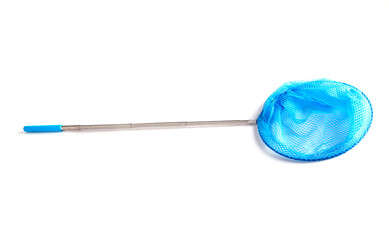 butterfly net in studio