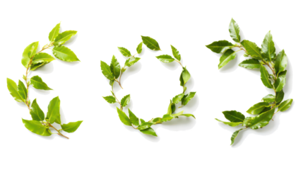 Unique Fresh Bay Leaf Wreath Decor Generative AI