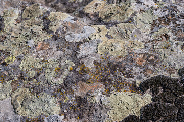 Textured rock background in the wild nature